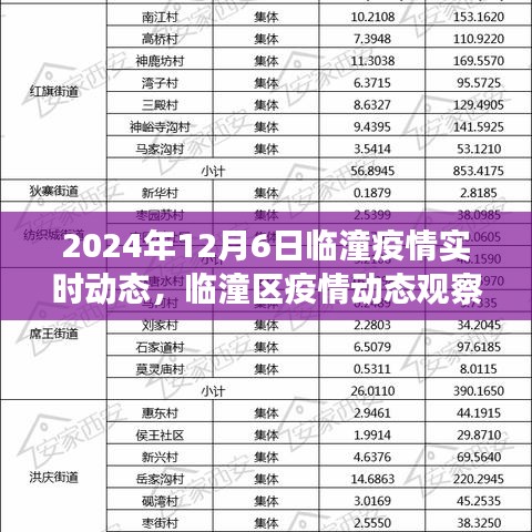 2024年12月6日临潼疫情实时动态观察与深度思考