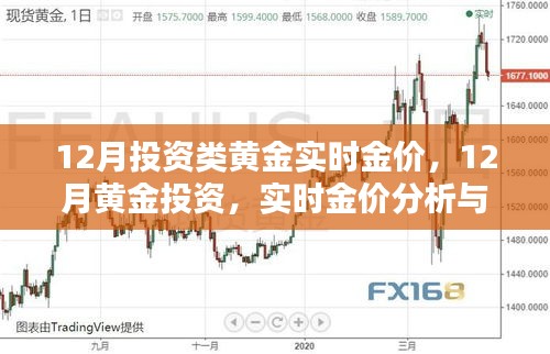 12月黄金投资指南，实时金价分析与投资策略