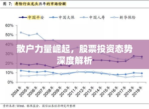 散户力量崛起，股票投资态势深度解析