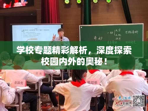 学校专题精彩解析，深度探索校园内外的奥秘！