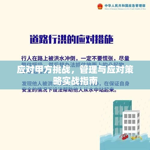 应对甲方挑战，管理与应对策略实战指南