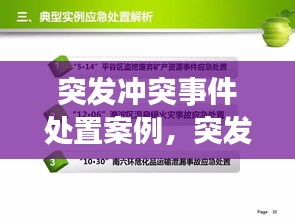 突发冲突事件处置案例，突发事件处理方案及结果 