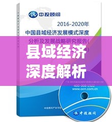 县域经济深度解析，发展态势、挑战与机遇