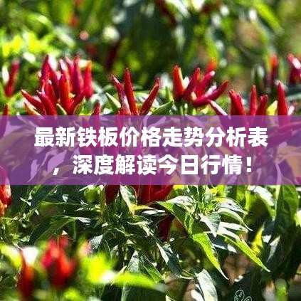 穷鸟入怀