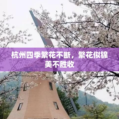 坐井观天
