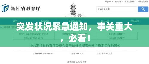 字斟句酌