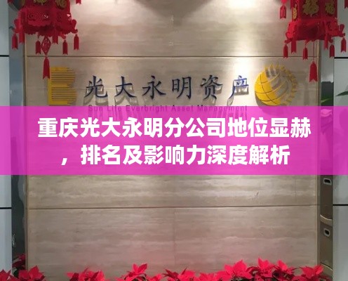 重庆光大永明分公司地位显赫，排名及影响力深度解析