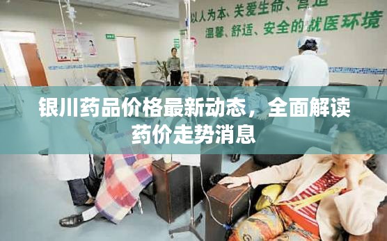 银川药品价格最新动态，全面解读药价走势消息