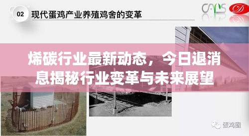 烯碳行业最新动态，今日退消息揭秘行业变革与未来展望