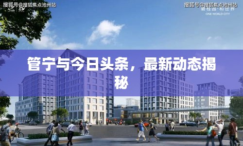 管宁与今日头条，最新动态揭秘