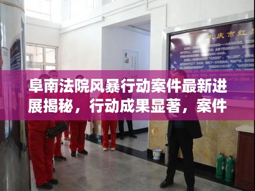 阜南法院风暴行动案件最新进展揭秘，行动成果显著，案件处理取得重要突破