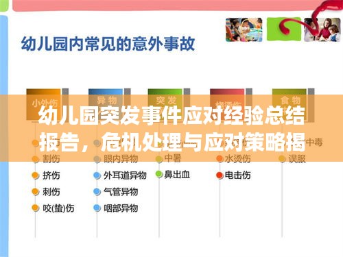 幼儿园突发事件应对经验总结报告，危机处理与应对策略揭秘
