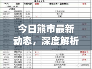今日熊市最新动态，深度解析市场走势与应对策略