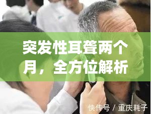 熟读深思