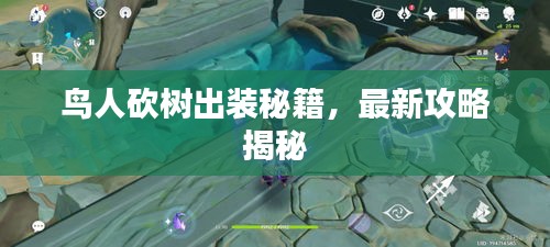 鸟人砍树出装秘籍，最新攻略揭秘