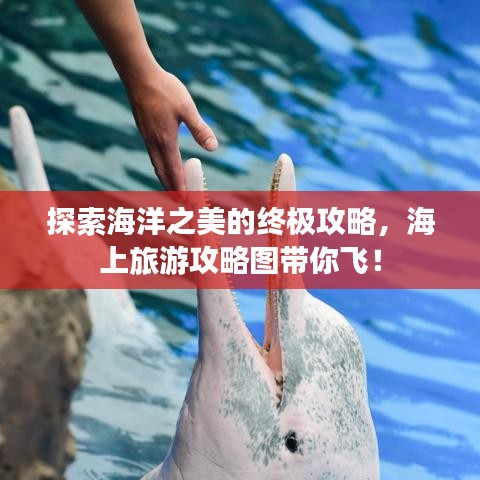 探索海洋之美的终极攻略，海上旅游攻略图带你飞！