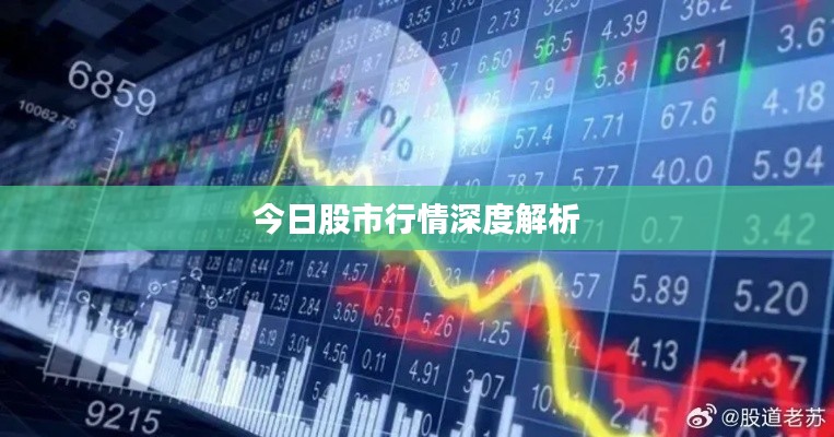 今日股市行情深度解析
